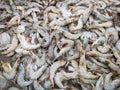 Fresh shrimp prawns for sale in the market seafood restaurant, raw shrimps on ice Royalty Free Stock Photo