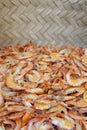 Fresh Shrimp for Sale at Brazilian Market Royalty Free Stock Photo