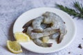 Fresh shrimp seafood with herbs and spice ready for cooked food, Raw prawns shrimp peeled Royalty Free Stock Photo