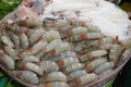 Fresh shrimp and squid on Ice in the market Thailand Royalty Free Stock Photo