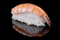 Fresh Shrimp Sushi on black background. Nigiri or Sashimi Royalty Free Stock Photo