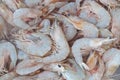 Fresh shrimp in the water Royalty Free Stock Photo