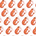 Fresh shrimp watercolor seamless pattern. Hand-drawn illustration on white background. Sea animal in shell. Raw or boiled prawn Royalty Free Stock Photo