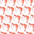 Fresh shrimp watercolor seamless pattern. Hand-drawn illustration on white background. Sea animal in shell Royalty Free Stock Photo