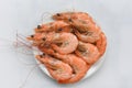 Fresh shrimp on white plate - cooking seafood shrimps prawns served on a food table background Royalty Free Stock Photo