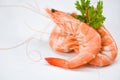 Fresh shrimp on white plate with ingredients coriander / cooking seafood shrimps prawns served white background close up shrimp Royalty Free Stock Photo