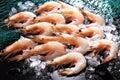 Fresh shrimps Royalty Free Stock Photo