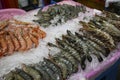 Fresh shrimps and black tiger prawns at Jagalchi Fish Market in Busan, South Korea Royalty Free Stock Photo