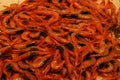 Fresh shrimps on the fish market in Sicily