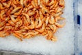 Fresh shrimps on ice tray Royalty Free Stock Photo