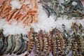 Fresh shrimps and prawns on ice at Jagalchi Fish Market, Busan, Korea Royalty Free Stock Photo
