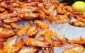 Fresh shrimps on seafood buffet. Royalty Free Stock Photo