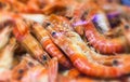 Fresh Shrimps Section On Retail Supermarket Royalty Free Stock Photo