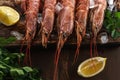 Fresh shrimps on wooden background with lemon slice. Seafood background