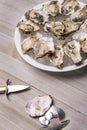 Fresh shucked oysters plate over wood background