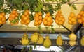 Fresh Sicilian oranges and lemon. Italian fruit market