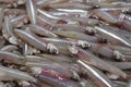 Fresh silver anchovy in a market stall