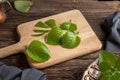 Fresh silver spurflower leaves - ingredient to prepare herbal syrup