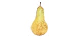 Fresh Single abate fetel pear isolated