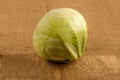 Fresh single cabbage