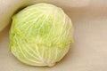 Fresh single cabbage