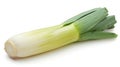 Fresh single leek isolated on white background for versatile culinary ingredient use