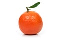 Fresh single orange fruit Royalty Free Stock Photo