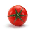 Fresh single tomato isolated on white Royalty Free Stock Photo
