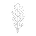 Fresh sketch of arugula, hand drawn on a white background. Arugula salad. Vector