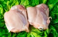 Fresh skinless chicken thighs on salad Royalty Free Stock Photo