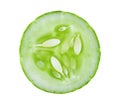 Fresh slice cucumber Royalty Free Stock Photo