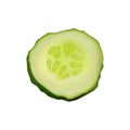 Fresh slice cucumber on white background. Vector realistic illustration.