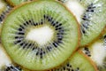 Fresh slice of kiwi fruit macro. Royalty Free Stock Photo