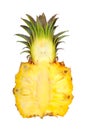 Fresh slice pineapple Royalty Free Stock Photo