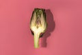 Fresh sliced Artichoke isolated on pink background Royalty Free Stock Photo