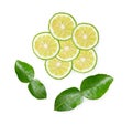 Fresh sliced bergamot on white background Royalty Free Stock Photo