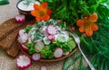 Fresh sliced cucumber salad and radishes with sour cream and herbs Royalty Free Stock Photo