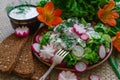 Fresh sliced cucumber salad and radishes with sour cream and herbs Royalty Free Stock Photo