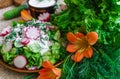 Fresh sliced cucumber salad and radishes with sour cream and herbs Royalty Free Stock Photo