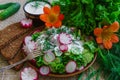 Fresh sliced cucumber salad and radishes with sour cream and herbs Royalty Free Stock Photo