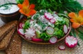 Fresh sliced cucumber salad and radishes with sour cream and herbs Royalty Free Stock Photo