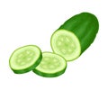 Fresh Sliced Cucumber Vector Element. Green Juiced Vegetable Royalty Free Stock Photo