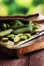 Fresh and sliced cucumbers. Sliced cucumbers on a cutting board. Royalty Free Stock Photo