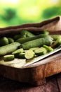 Fresh and sliced cucumbers. Sliced cucumbers on a cutting board. Royalty Free Stock Photo