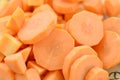 Fresh sliced and diced carrot, closeup Royalty Free Stock Photo