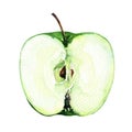 Fresh sliced green apple half on white background