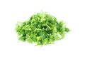 fresh sliced green celery isolated on white Royalty Free Stock Photo