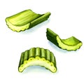 Fresh sliced green celery stems isolated