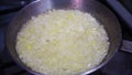 Fresh sliced onions sauteing in frying pan on stove top oven. Caramelized white onions cooking in silver saute pan.