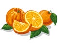 Fresh sliced oranges